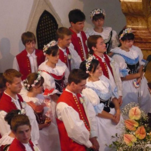7.6.2009