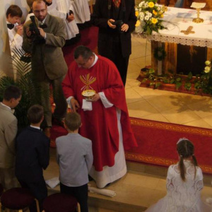 31.5.2009