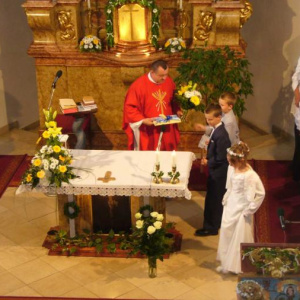 31.5.2009
