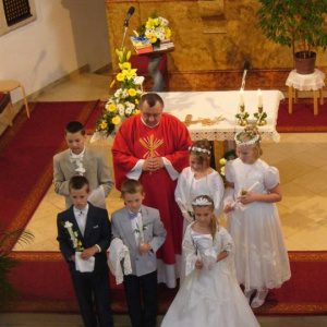 31.5.2009