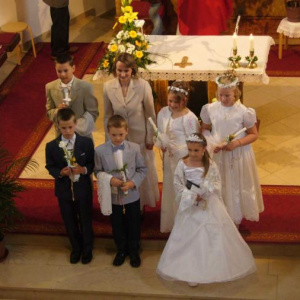 31.5.2009
