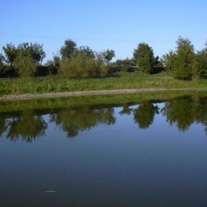 31.8.2008 Rybník