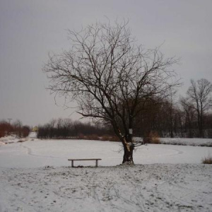 19.12.2010 Rybník