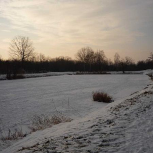19.12.2010 Žatčanský zamrzlý rybník
