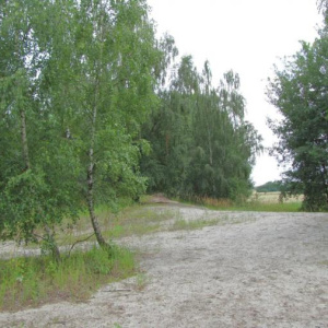 2010 Písky