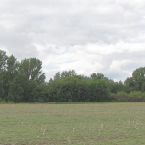 2010 Písky