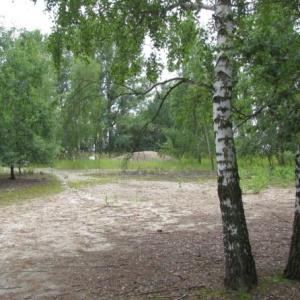 2010 Písky