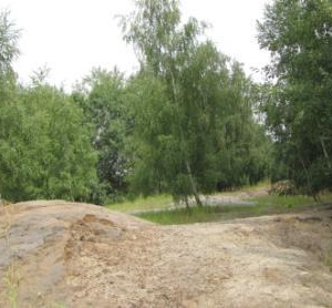 2010 Písky