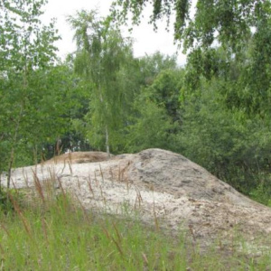 2010 Písky