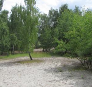 2010 Písky