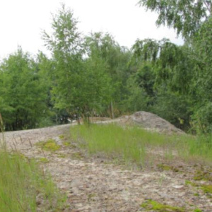 2010 Písky