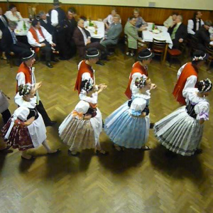 5.2.2011 Krojový ples