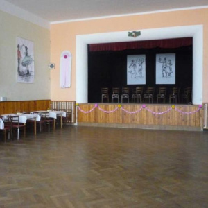 5.2.2011 Krojový ples