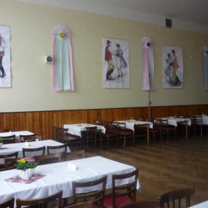 5.2.2011 Krojový ples