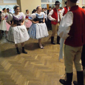 5.2.2011 Česká beseda