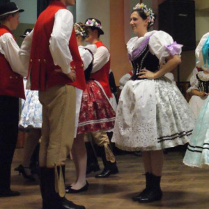 5.2.2011 Česká beseda