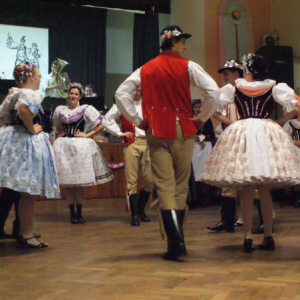 5.2.2011 Česká beseda