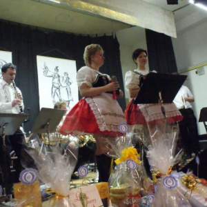 5.2.2011 Krojovaný ples