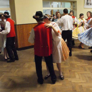 5.2.2011 Krojovaný ples
