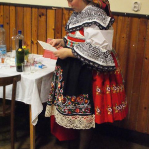 5.2.2011 Krojovaný ples