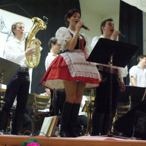 5.2.2011 Krojovaný ples