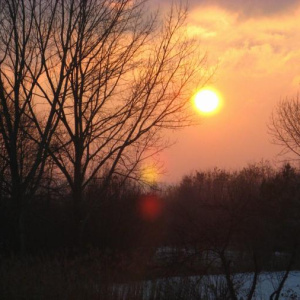 29.1.2011