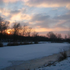 29.1.2011