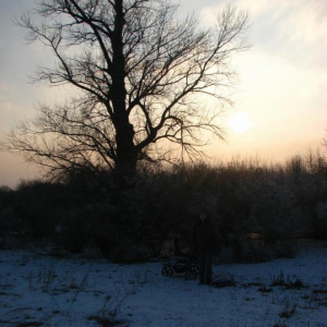 29.1.2011