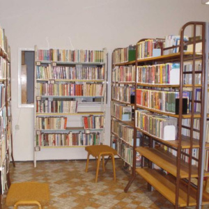 Knihovna v r. 2011