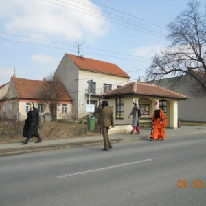 5.3.2011