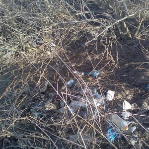 12.3.2011 MK Alka