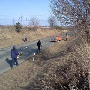 12.3.2011 MK Alka