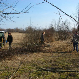 štěpkování