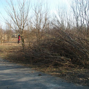 hromada větví v biocentru