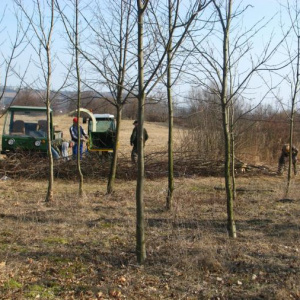 biocentrum po pročištění
