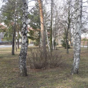 park na Kouskách