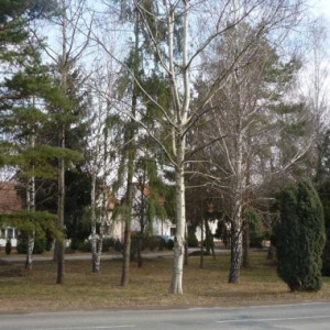 park na Kouskách