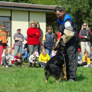 16.4.2011
