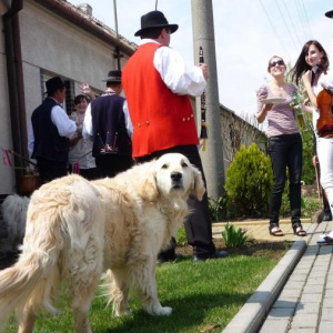 Pomlázka 25.4.2011