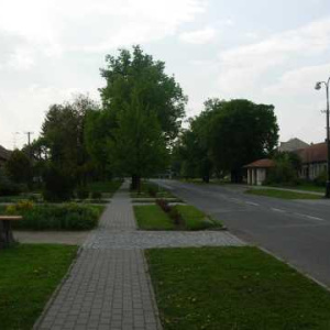 Náves