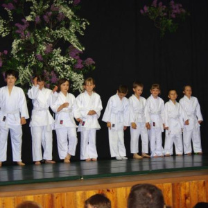 Judo 8.5.2011