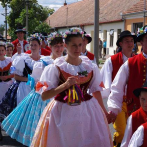 19.6.2011 Průvod