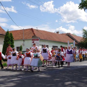 19.6.2011 Průvod