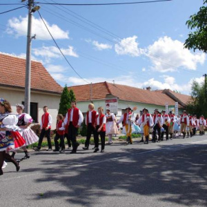 19.6.2011 Průvod