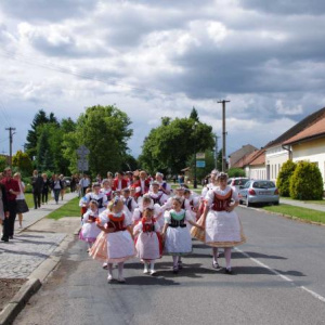 19.6.2011 Průvod