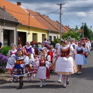 19.6.2011 Průvod