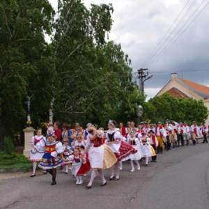19.6.2011 Průvod