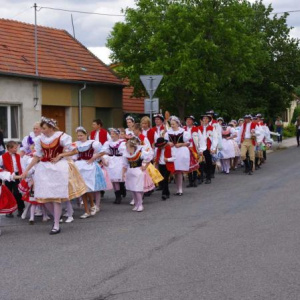 19.6.2011 Průvod
