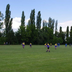 25.6.2011