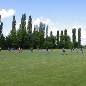 25.6.2011